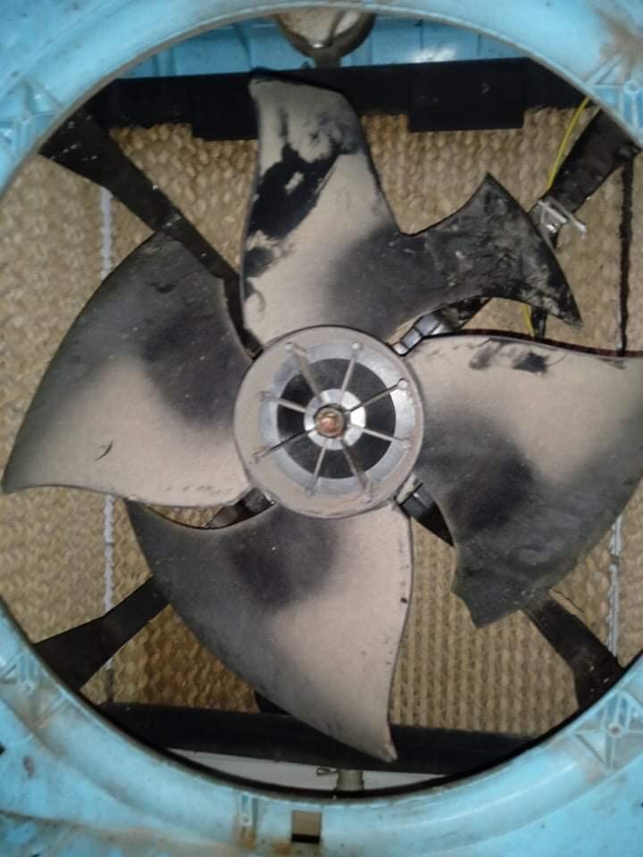 z2741618406206_996335aa657bc1337d6d7671569fe173